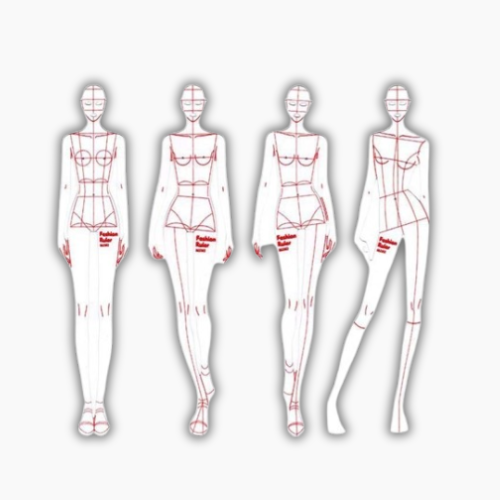Female Shapes – Fashion Illustration Ruler